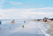 Brazil 2024 on Film – Cassino