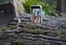 The Roaming Photo Sessions (2025)